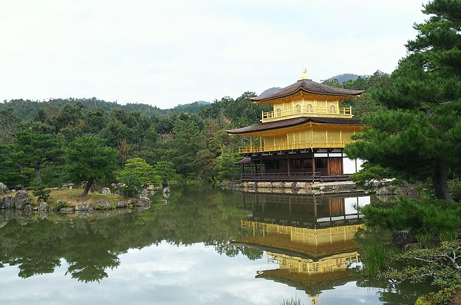 Kyoto Lazy Bird Walking Tour - Fushimi Inari’s long corridor of torii gates