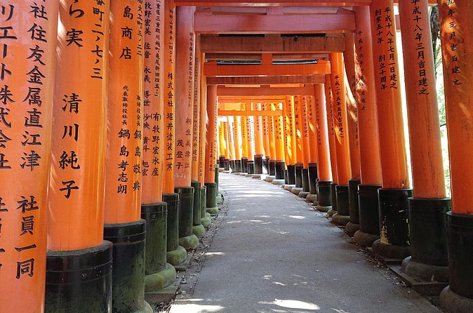 Kyoto Lazy Bird Walking Tour - Price, pace, and what you really receive