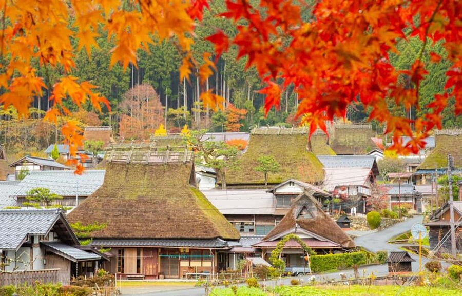 Kyoto: Miyama Village, Amanohashidate & Ine Bay Day Trip - Key points to know before booking