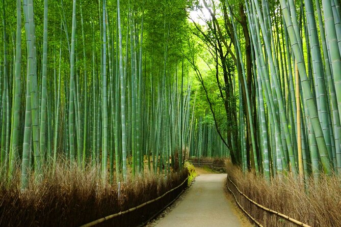 Kyoto Morning Tour with English Speaking Guide - Nonomiya Shrine, a quieter stop in Arashiyama