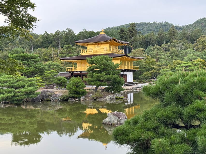 Kyoto & Nara Full Day Customised Tour - How much guiding should you expect?