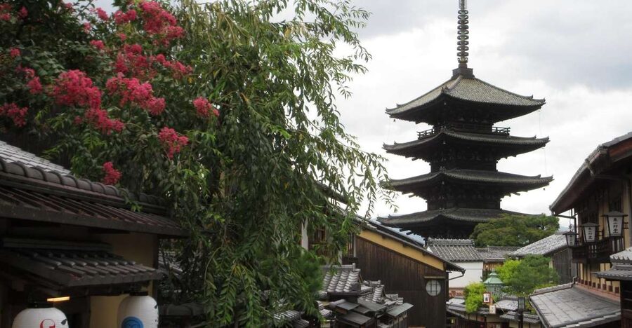 KYOTO-NARA: Giant Buddha Deer Pagoda "Geisya" (Italian, full day) - Deer in Nara Park