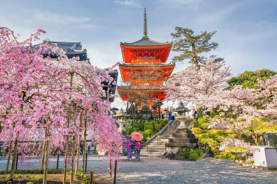 Kyoto & Nara Private Customized, Guided Tour - Key points to know before booking