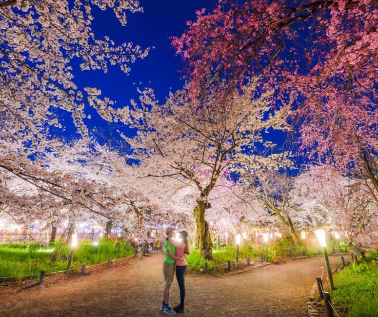 Kyoto & Nara Private Customized, Guided Tour - Fushimi Inari rewards you with flexibility