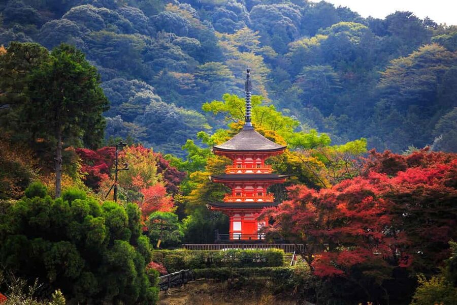 Kyoto & Nara Private Customized, Guided Tour - Nara Park adds deer and a different pace