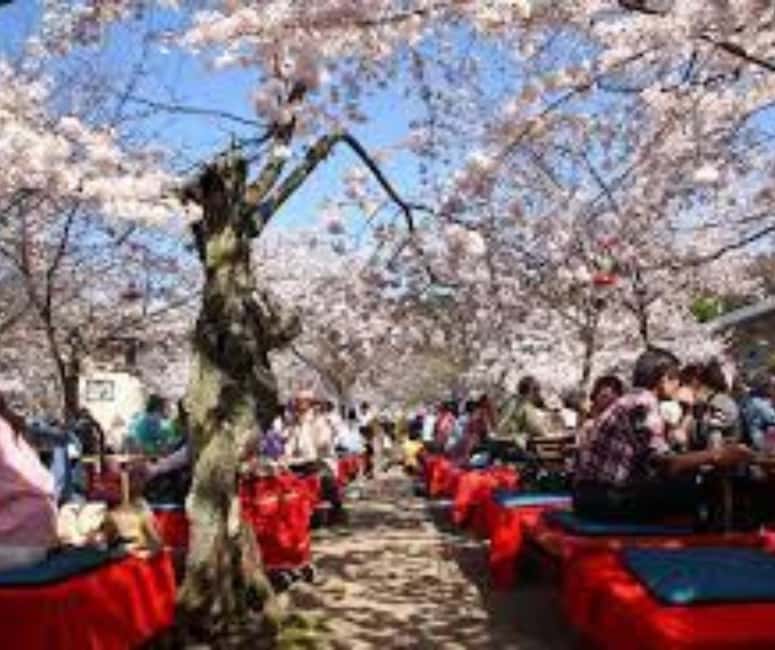 Kyoto & Nara Private Customized, Guided Tour - Nishiki Market brings the day down to street level