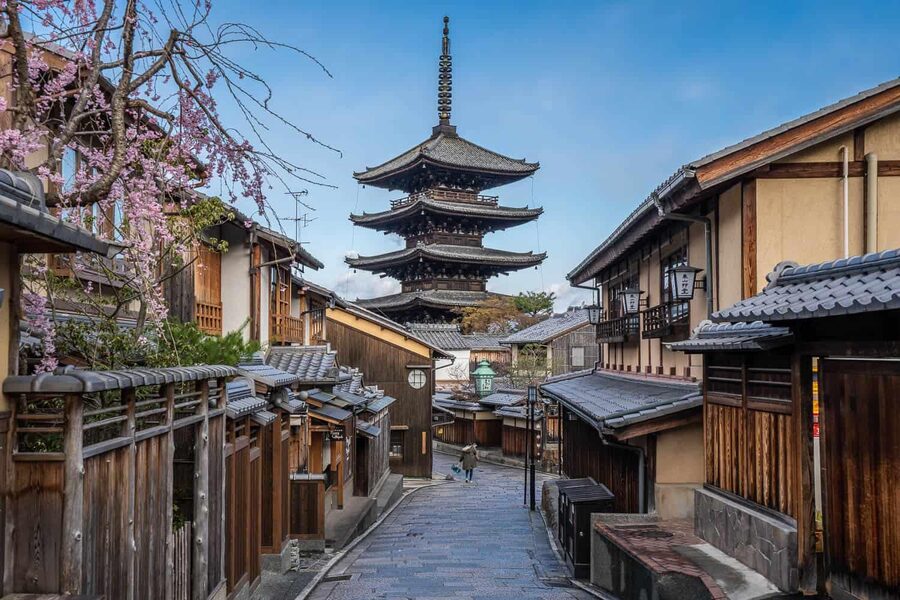 Kyoto & Nara Private Customized, Guided Tour - The schedule is ambitious, even with a private van