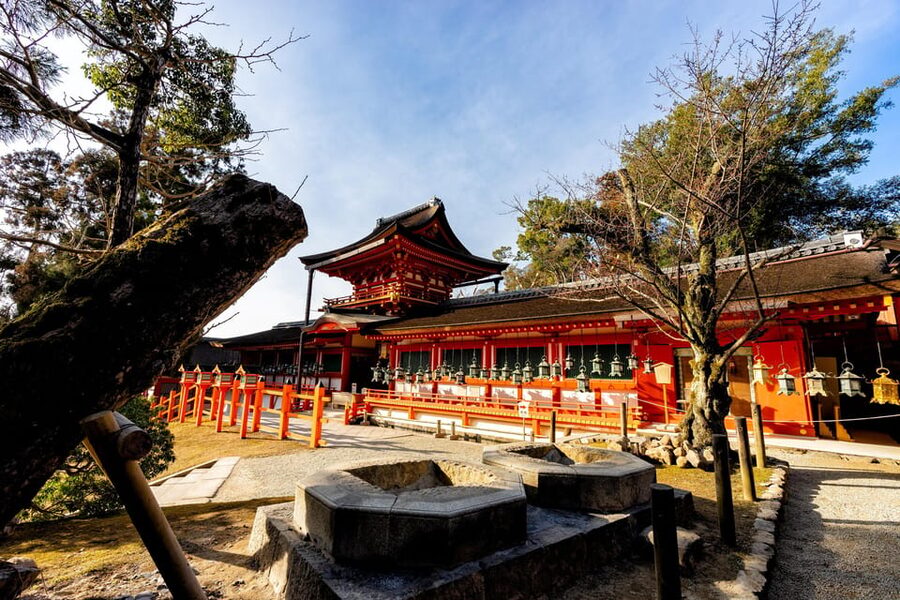 Kyoto: Nara, Todaiji, Kasuga Taisha Shrine Private Full Day - Key points to know before booking