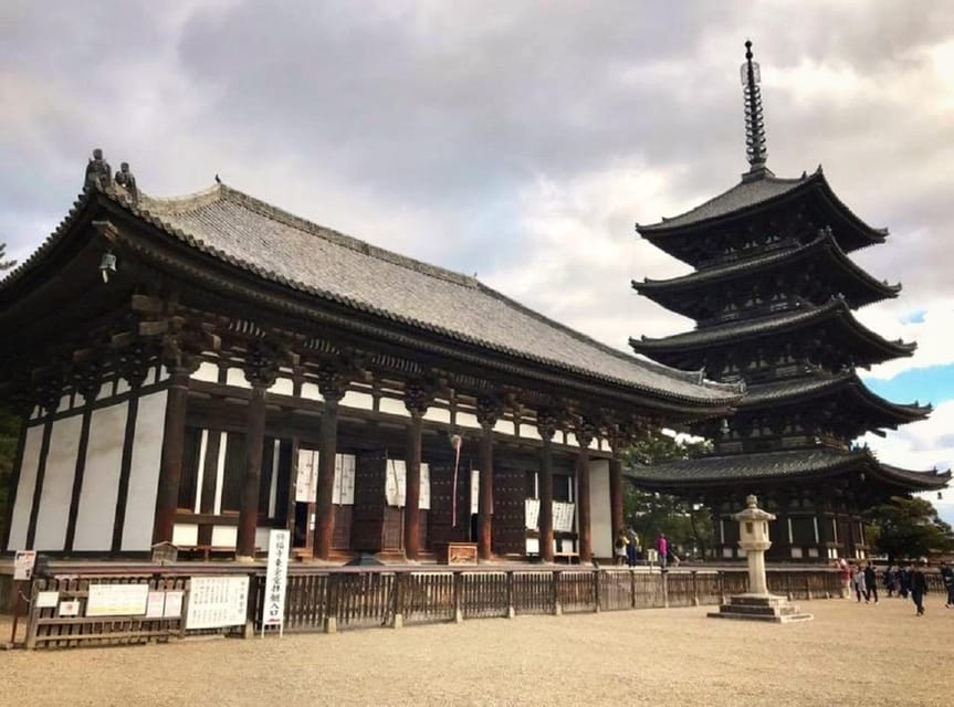 Kyoto: Nara, Todaiji, Kasuga Taisha Shrine Private Full Day - Meeting Nara’s deer in the open park