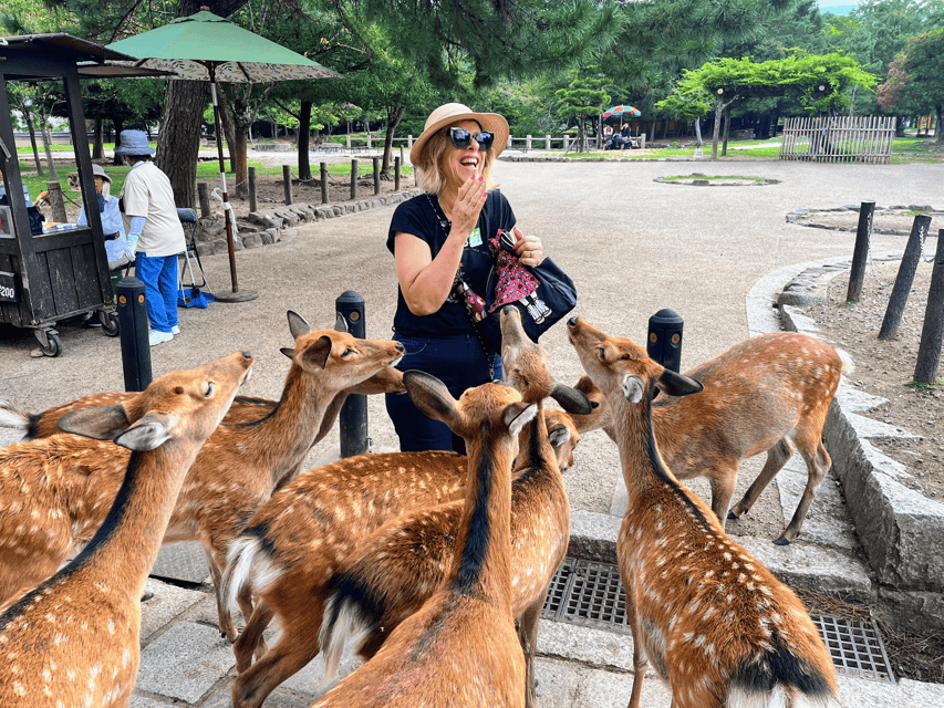 Kyoto: Nara & Traditional Matcha Experience Bus Tour - Kasuga Taisha and Nara’s lanterns