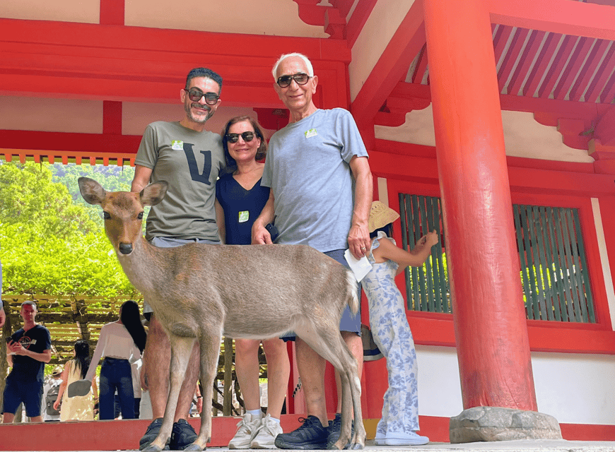 Kyoto: Nara & Traditional Matcha Experience Bus Tour - Feeding the deer in Nara Park