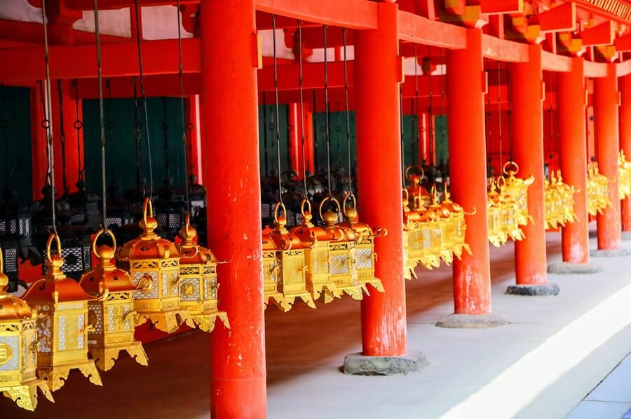 Kyoto: Nara & Traditional Matcha Experience Bus Tour - Todaiji and the Great Buddha