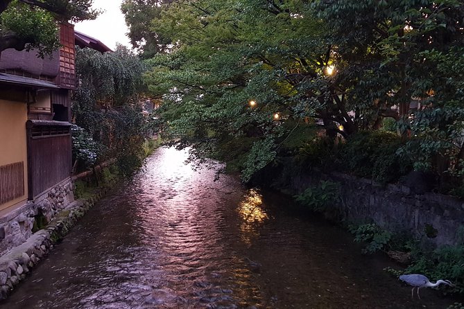 Kyoto Nighttime All-Inclusive Eats and Streets, Gion and Beyond - Practical advice for a smoother evening