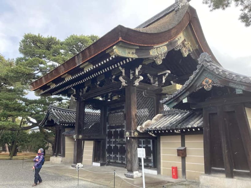 Kyoto: Nijo Castle and Kyoto Imperial Palace Guided Tour - What the guides do best