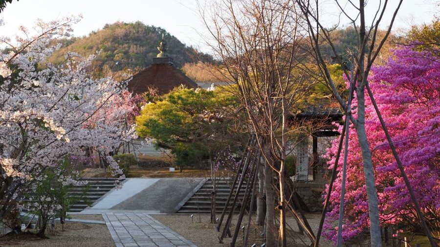Kyoto: Ninnaji Temple Entry Ticket - Should you book the Ninnaji Temple ticket?
