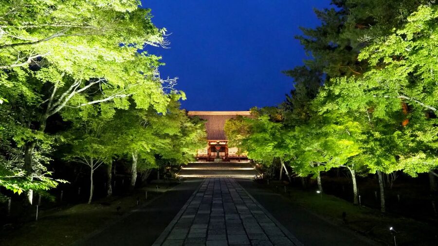 Kyoto: Ninnaji Temple Entry Ticket - Is the $5 ticket good value?