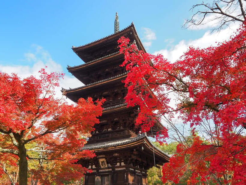 Kyoto: Ninnaji Temple Entry Ticket - The five-story pagoda and the temple’s visual rhythm
