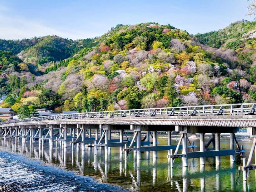 Kyoto/Osaka: Kinkakuji, Bamboo Forest, and Nara Deer Park - What the guides add to the day