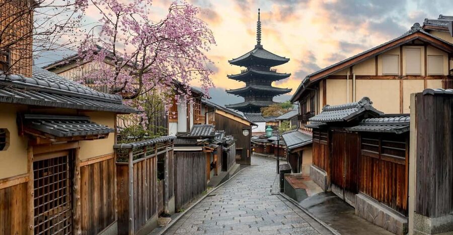 Kyoto/Osaka: Kyoto and Nara Customized Private Guided Tour - Gion, Hanami-koji, and Kyoto’s old city feel
