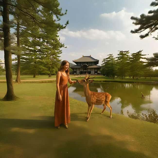 Kyoto/Osaka: Kyoto&Nara Customized Private Highlights Tour - Sanjusangen-do adds a quieter Kyoto note