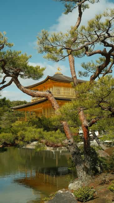 Kyoto/Osaka: Kyoto&Nara Customized Private Highlights Tour - Nara Park and the Great Buddha at Todai-ji