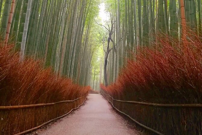 Kyoto, Osaka, Nara Full Day tour by Car English speaking Driver - Fushimi Inari’s red torii gates