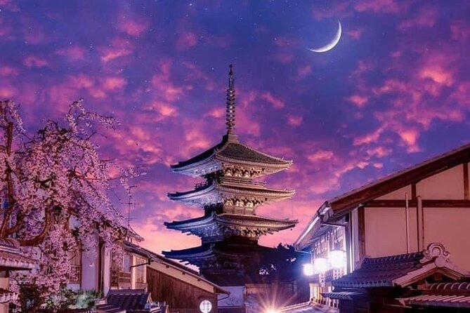 Kyoto, Osaka, Nara Private Tour by Car English Driver Guide - The Driver Question: Helpful Chauffeur Or Full Guide?