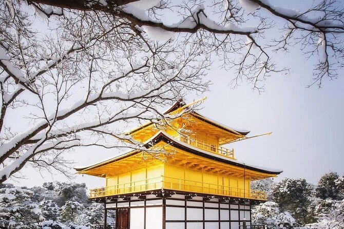 Kyoto, Osaka, Nara Private Tour by Car English Driver Guide - Price, Group Size, And What You Still Pay