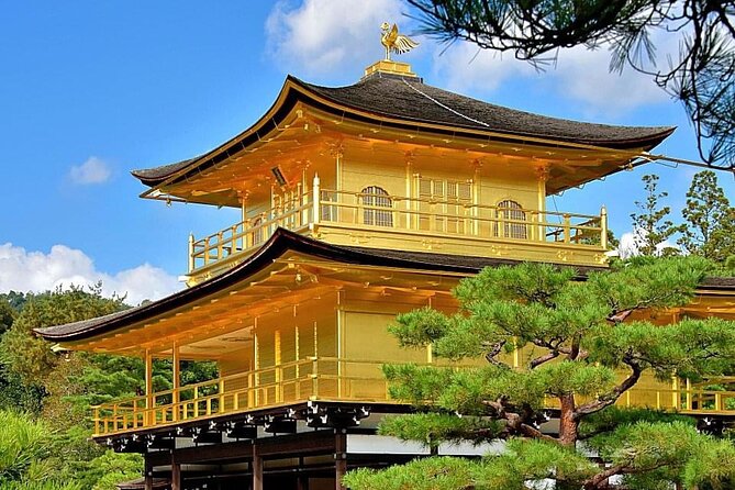 Kyoto, Osaka, Nara Private Tour by Car English Driver Guide - Pickup, Timing, And The Small Details That Matter