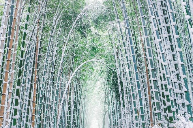 Kyoto, Osaka, Nara Private Tour by Car English Driver Guide - Who Will Get The Most From This Day?