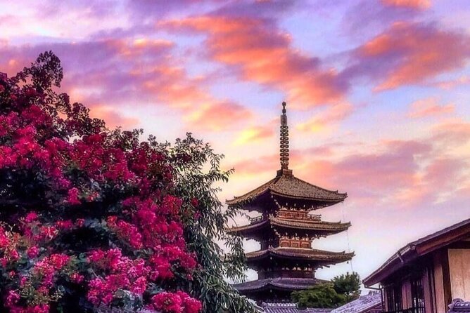 Kyoto, Osaka, Nara Private Tour by Car English Driver Guide - Osaka: Castle Views, Street Food, And A City Finish