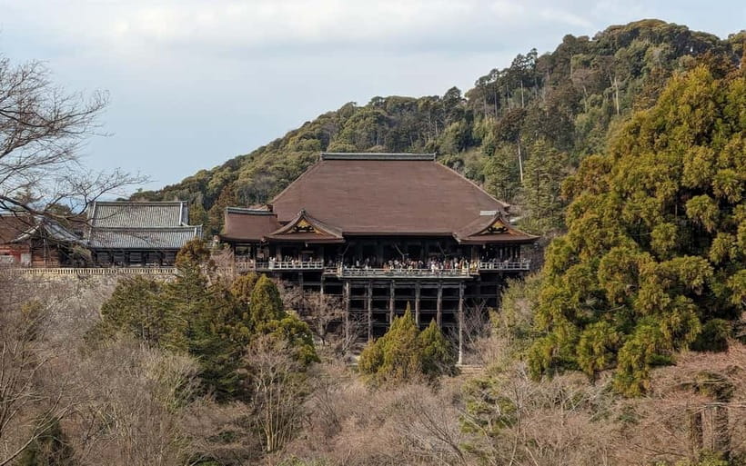 Kyoto: Personalize, private tour (3h, 5h, 8h) [W/Car Option] - Who should book this private Kyoto tour?