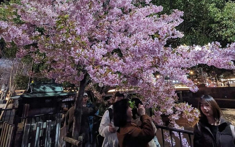 Kyoto: Personalize, private tour (3h, 5h, 8h) [W/Car Option] - Practical preparation for a long Kyoto day