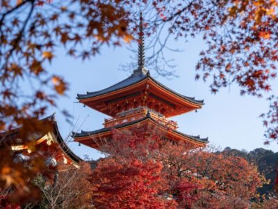 Personalized Guided Private Tour
