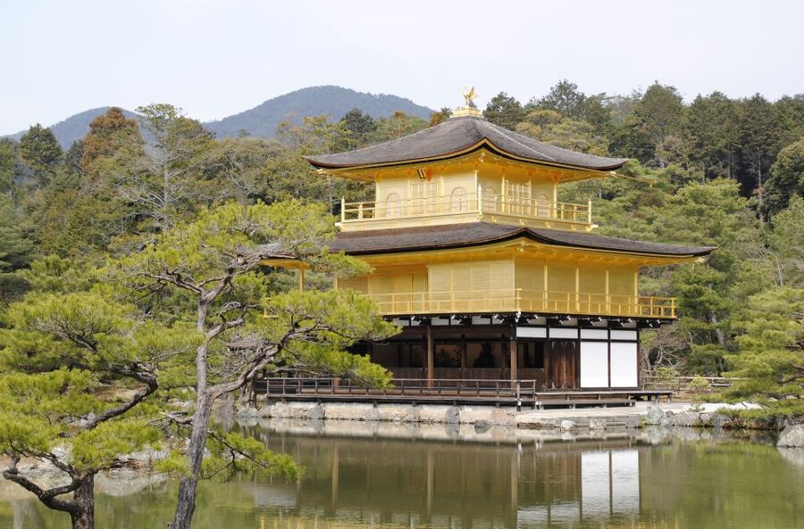 Kyoto: Personalized Guided Private Tour - Why the guide can make or break the day