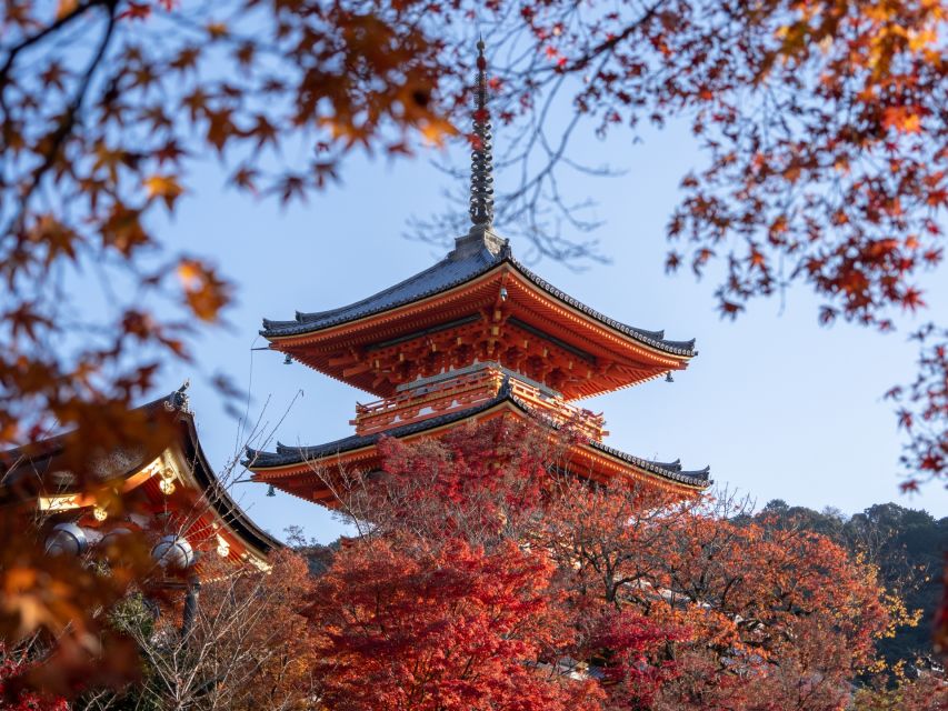 Kyoto: Personalized Guided Private Tour - Kinkaku-ji, Kyoto’s Golden Pavilion