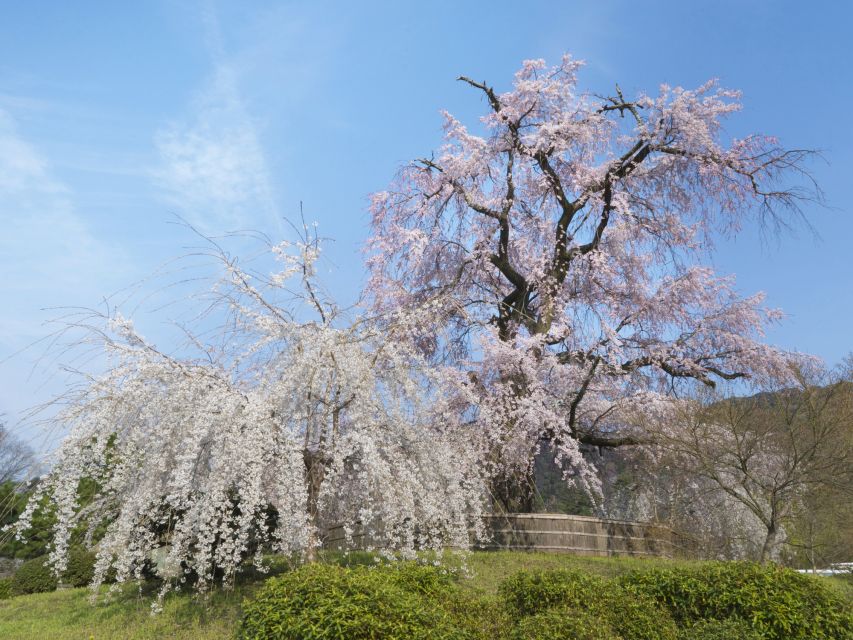 Kyoto: Private 2.5 Hour Historical Walking Tour - Kiyomizu Temple and the wooden stage