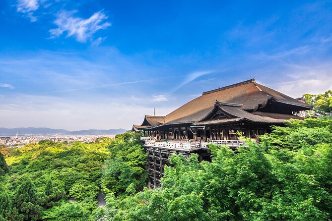 Kyoto Private 6 hour Tour: English Speaking Driver Only, No Guide - Fushimi Inari: vermilion gates and uphill walking