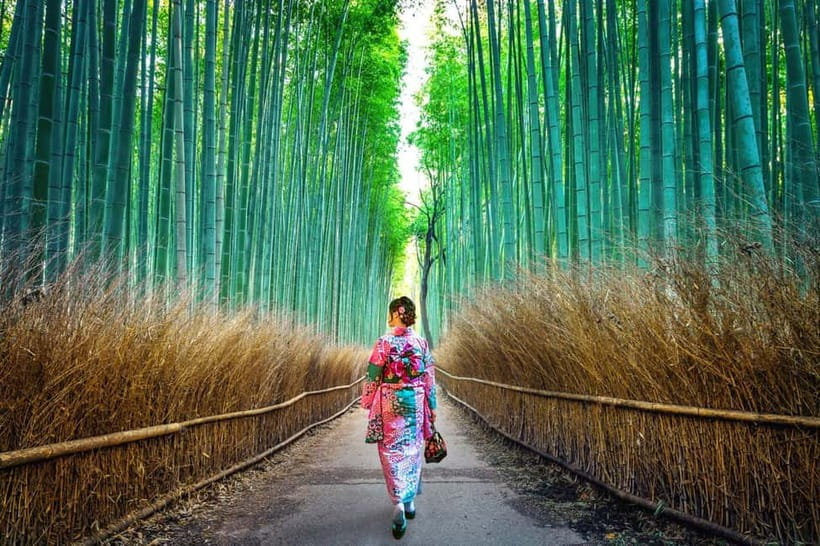 Kyoto: Private Customizable Day Tour with Guide and Vehicle - Why private transport changes a Kyoto sightseeing day