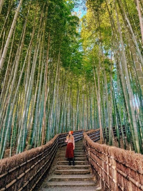 Kyoto: Private Customizable Day Tour with Guide and Vehicle - The guides: personal attention is the main product