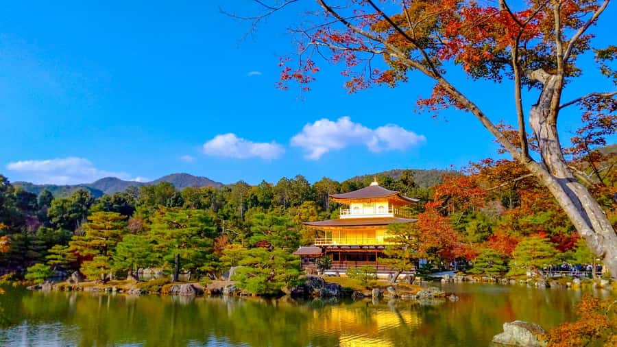 Kyoto: Private Customizable Day Trip by Car - Kiyomizu-dera is the longest temple visit