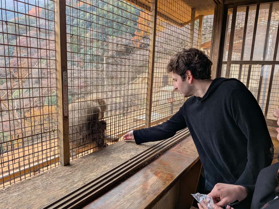 Kyoto: Private Customizable Day Trip by Car - What the driver does, and what the driver does not do