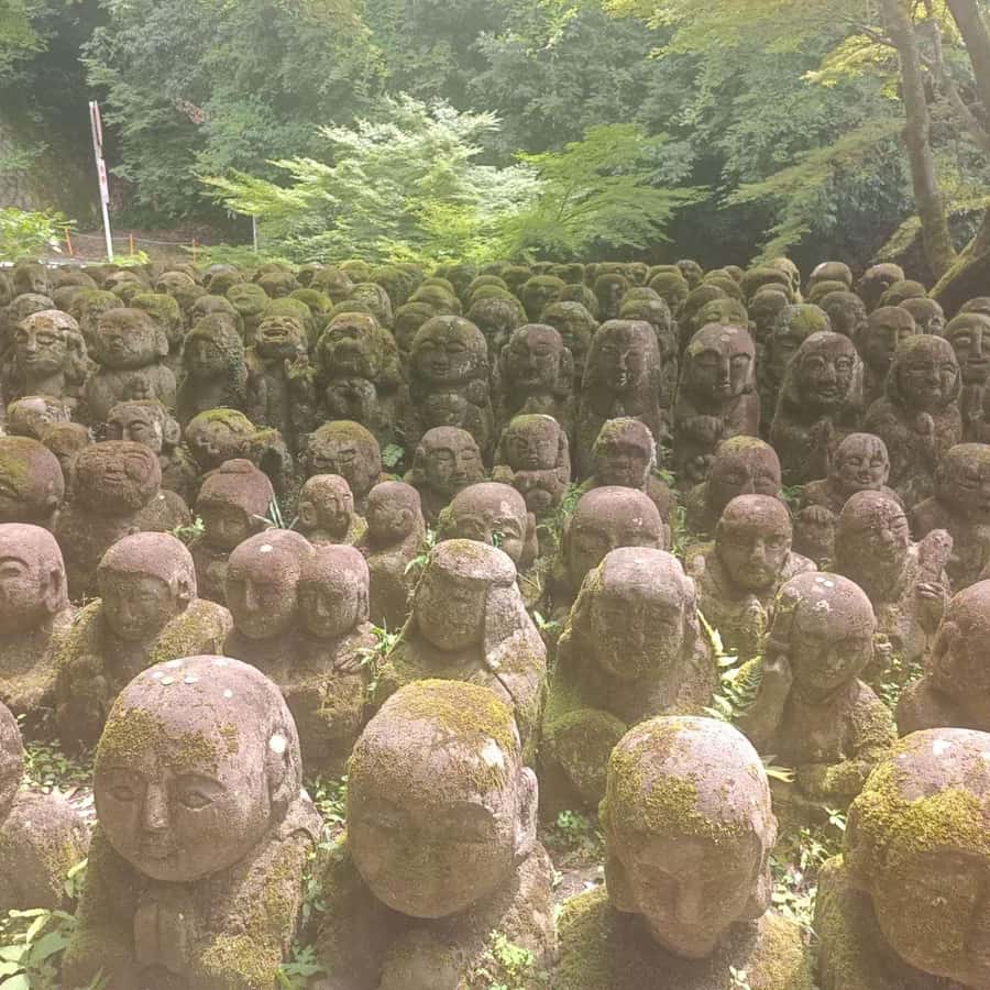 Kyoto: Private Customizable Day Trip by Car - The practical cost of a private Kyoto day