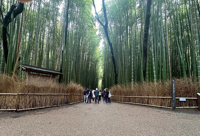 Kyoto Private Customizable Day Trip With English chauffeur - Why a Private Car Helps in Kyoto