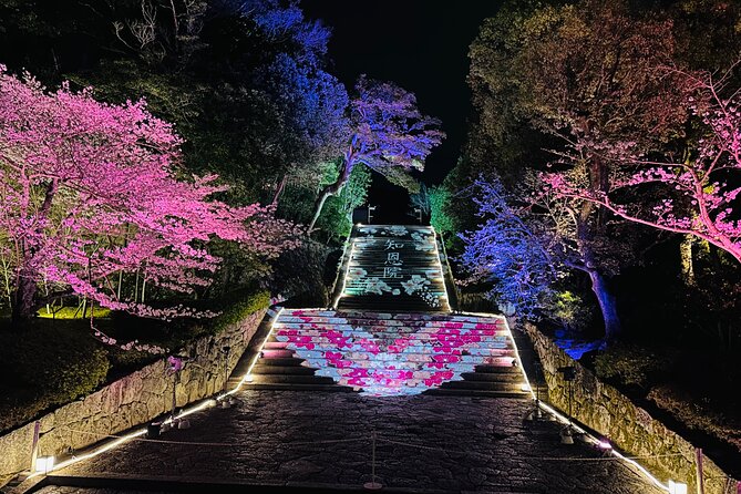 Kyoto Private Customizable Day Trip With English chauffeur - Arashiyama Bamboo Grove, Your Western Kyoto Start
