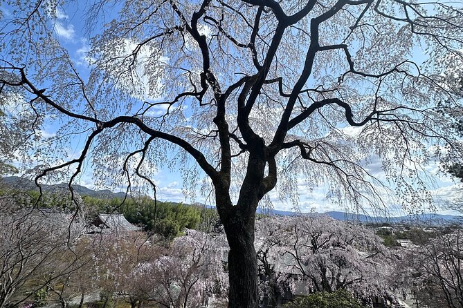 Kyoto Private Customizable Day Trip With English chauffeur - Sanjusangendo and Its 1,001 Kannon Figures
