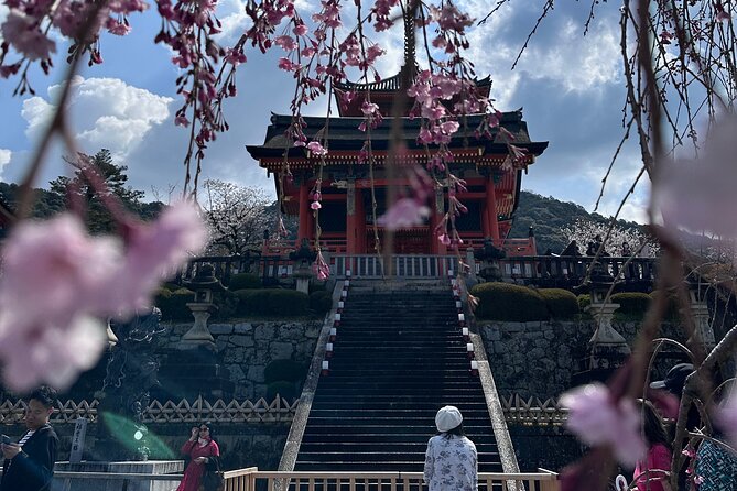 Kyoto Private Customizable Day Trip With English chauffeur - Ginkaku-ji, the Quiet Silver Pavilion