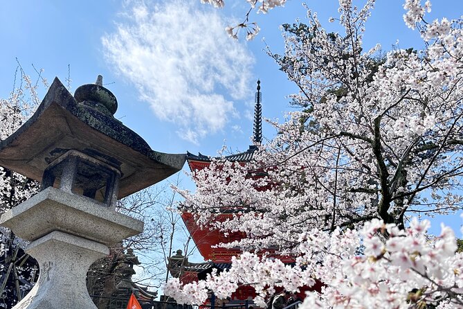 Kyoto Private Customizable Day Trip With English chauffeur - Fushimi Inari’s Vermilion Torii Gates