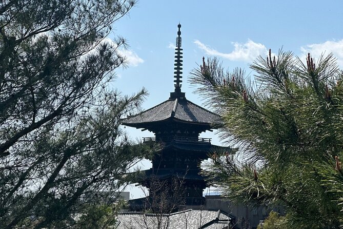 Kyoto Private Customizable Day Trip With English chauffeur - Kyoto Imperial Palace and the Garden Around It