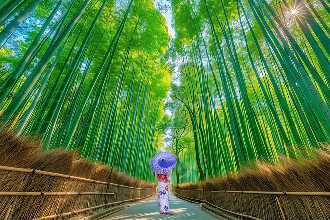 Kyoto Private Customized Day Tour with Guide - A private car solves Kyoto’s biggest sightseeing problem